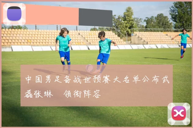 中国男足备战世预赛大名单公布武磊张琳芃领衔阵容
