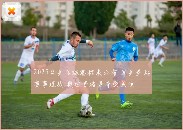 2025年乒乓球赛程表公布 国乒多站赛事连战 奥运资格争夺受关注