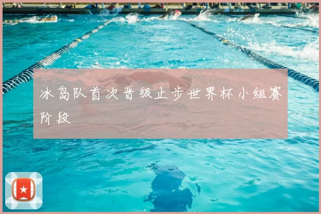 冰岛队首次晋级止步世界杯小组赛阶段